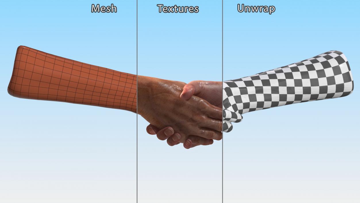 3D Handshake Old Man Hands model