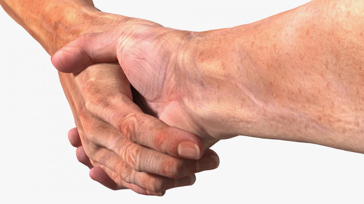 3D Handshake Old Man Hands model