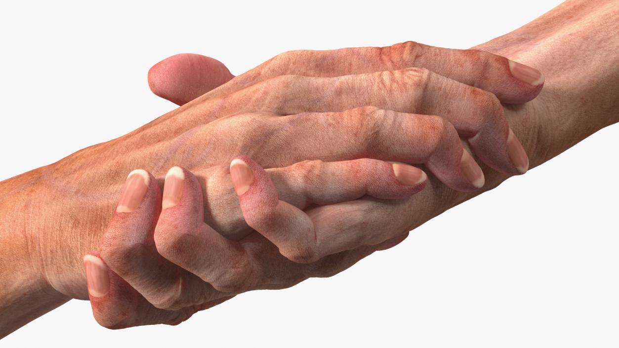 3D Handshake Old Man Hands model