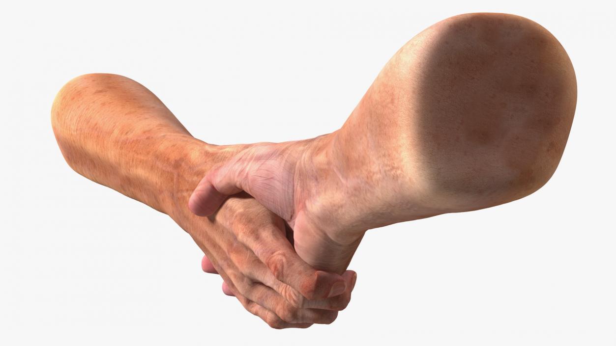 3D Handshake Old Man Hands model