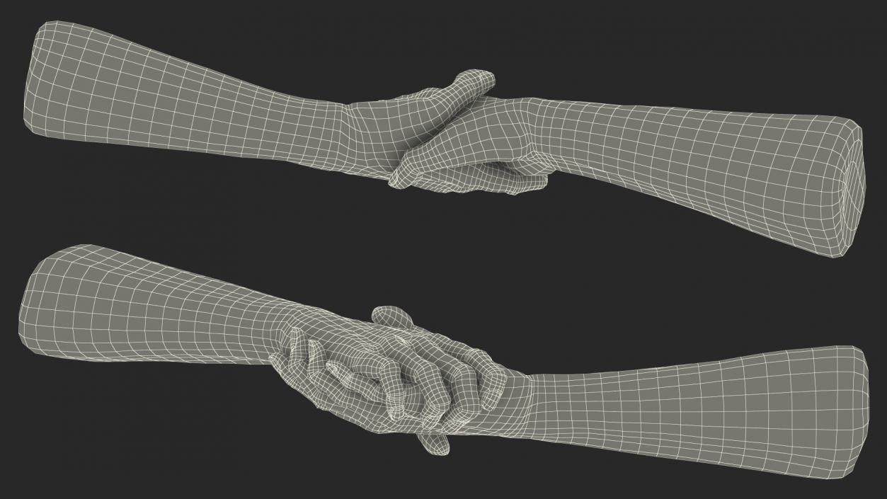 3D Handshake Old Man Hands model