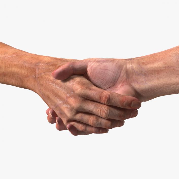 3D Handshake Old Man Hands model