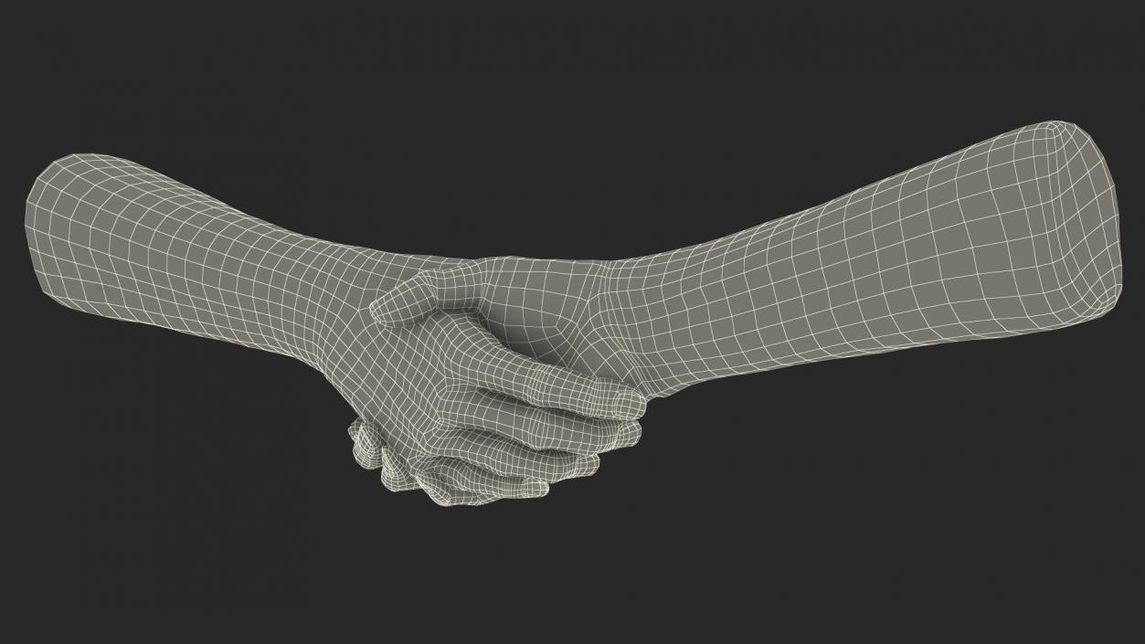 3D Handshake Old Man Hands model