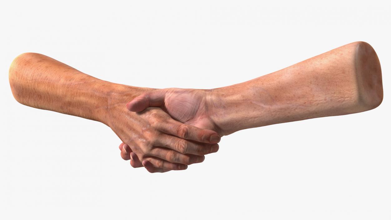 3D Handshake Old Man Hands model