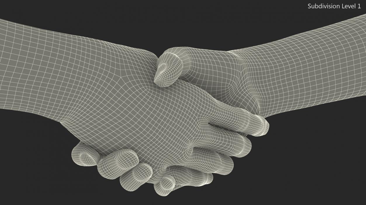 3D Handshake Old Man Hands model