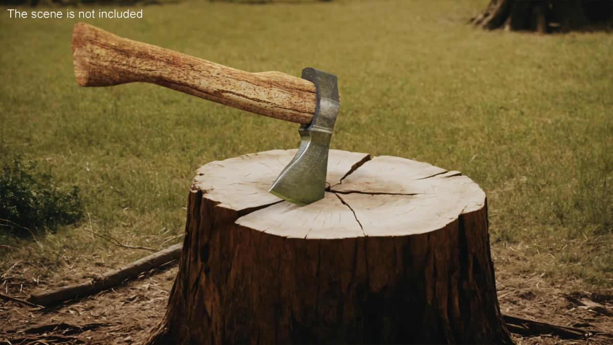 Forest Hatchet 3D model