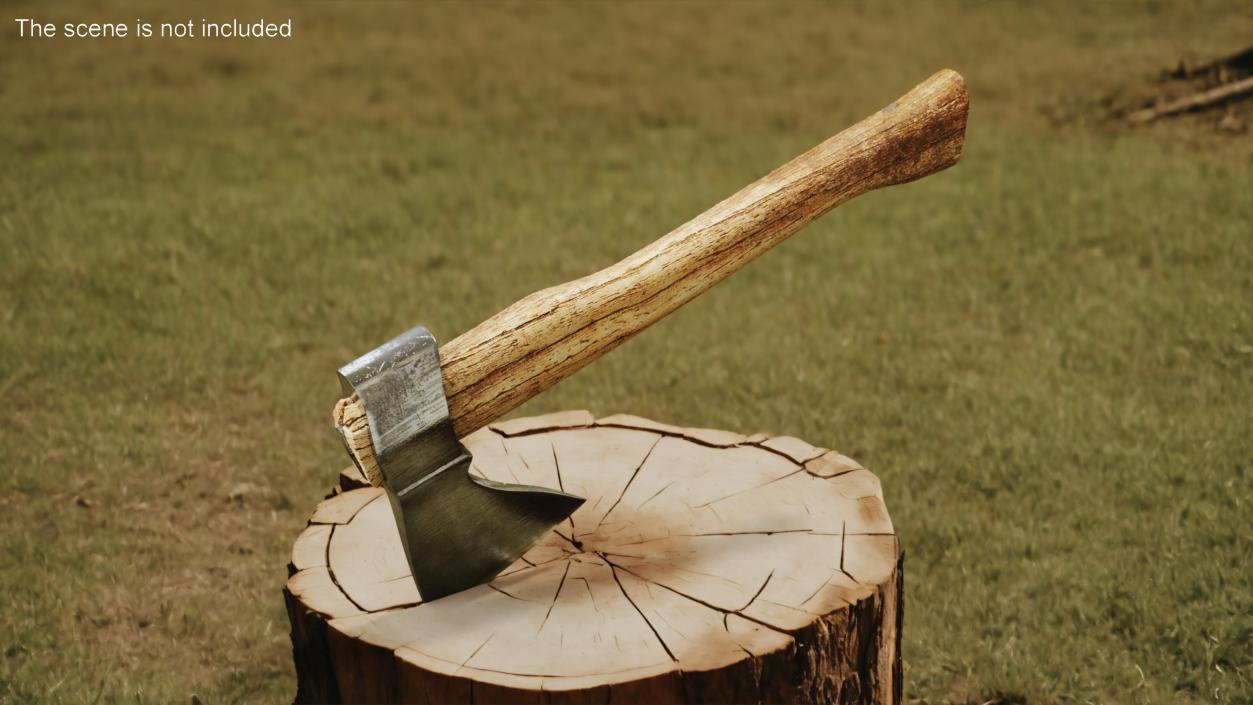 Forest Hatchet 3D model