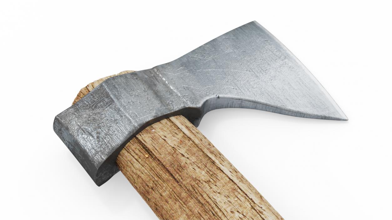 Forest Hatchet 3D model