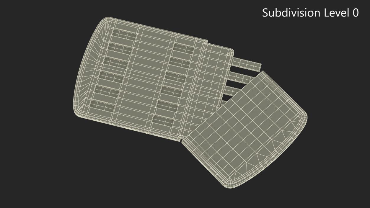 3D model One Step Drug Testing Kit Open