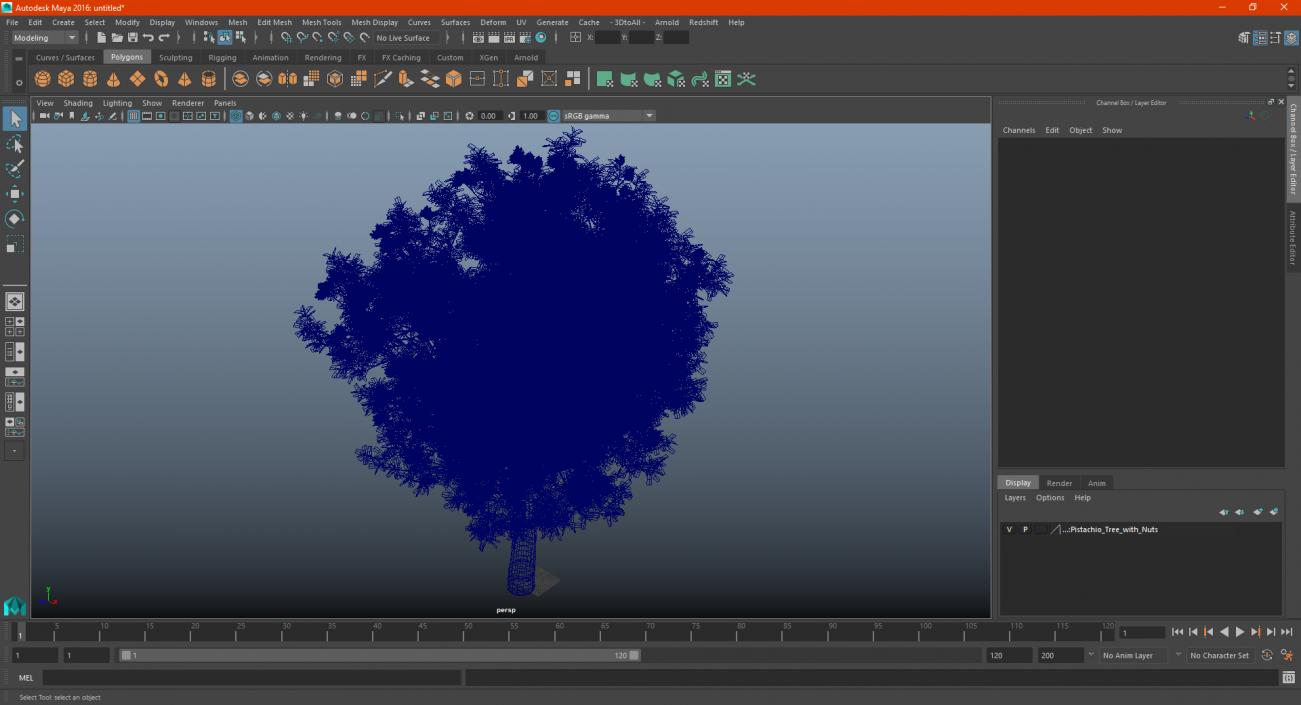 Pistachio Tree with Nuts 3D model