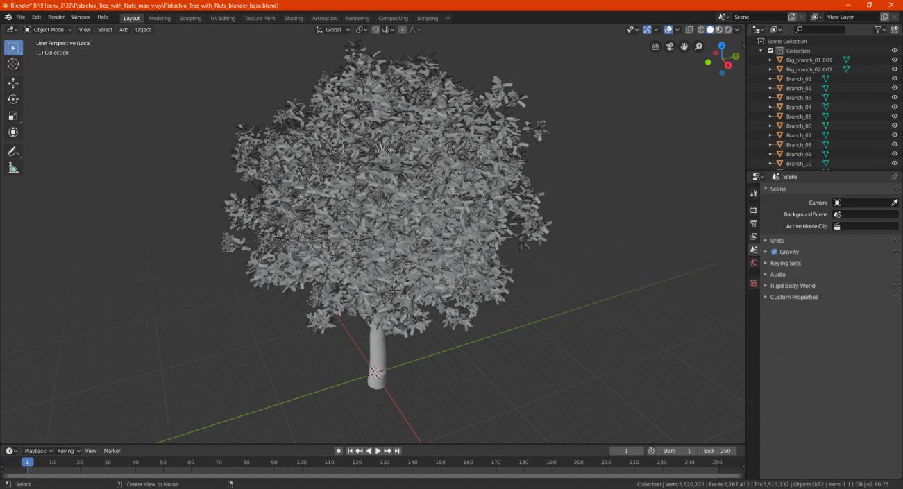 Pistachio Tree with Nuts 3D model