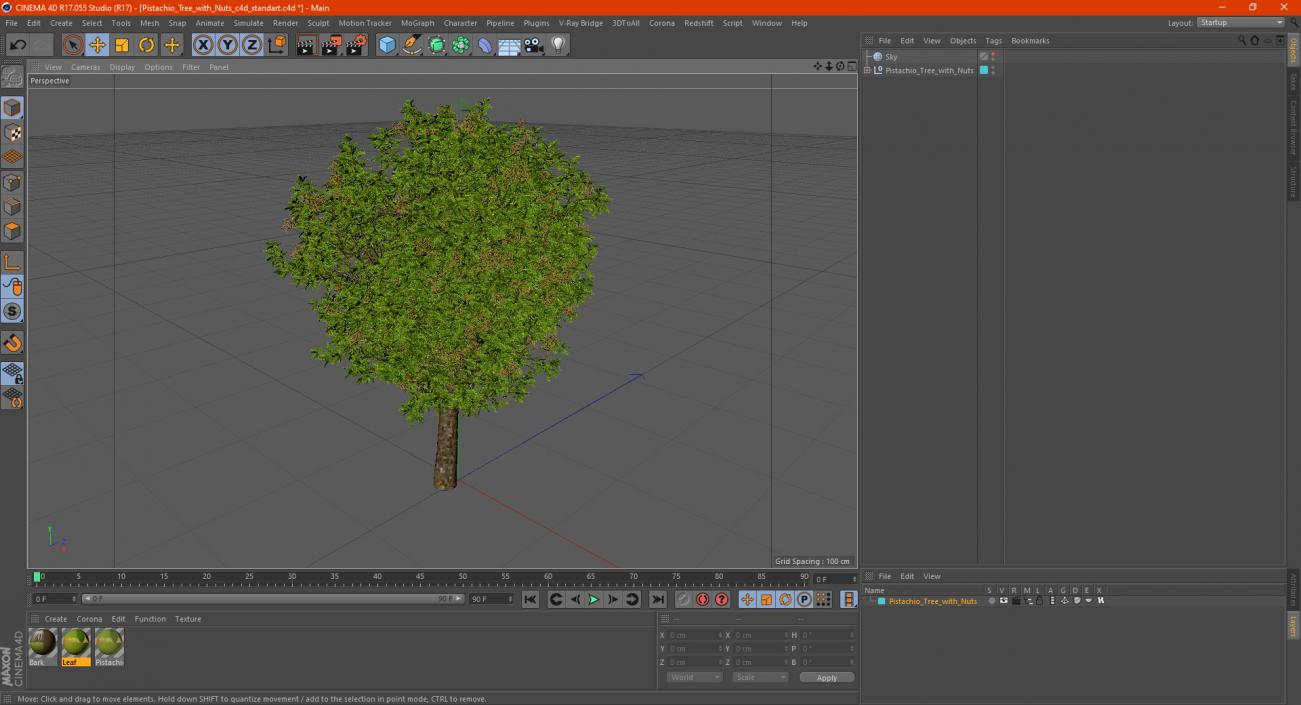 Pistachio Tree with Nuts 3D model