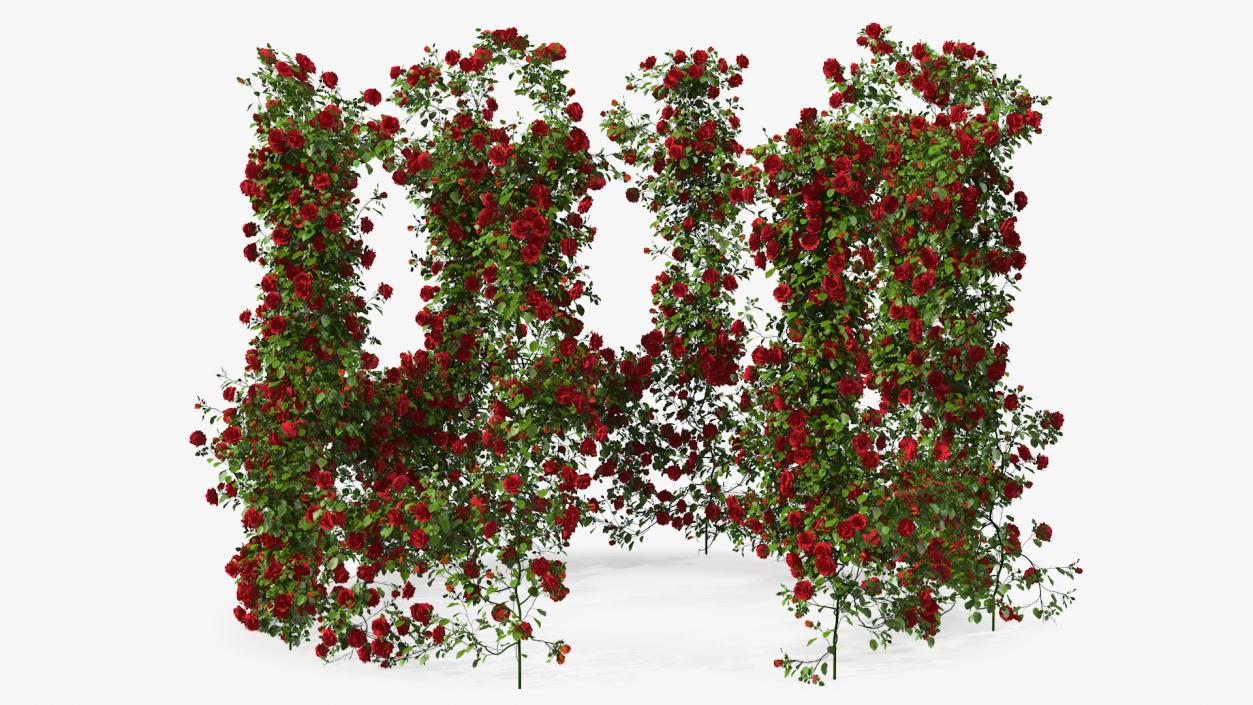 3D Red Rose Bush model