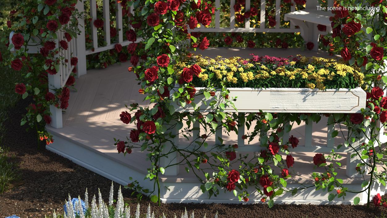 3D Red Rose Bush model