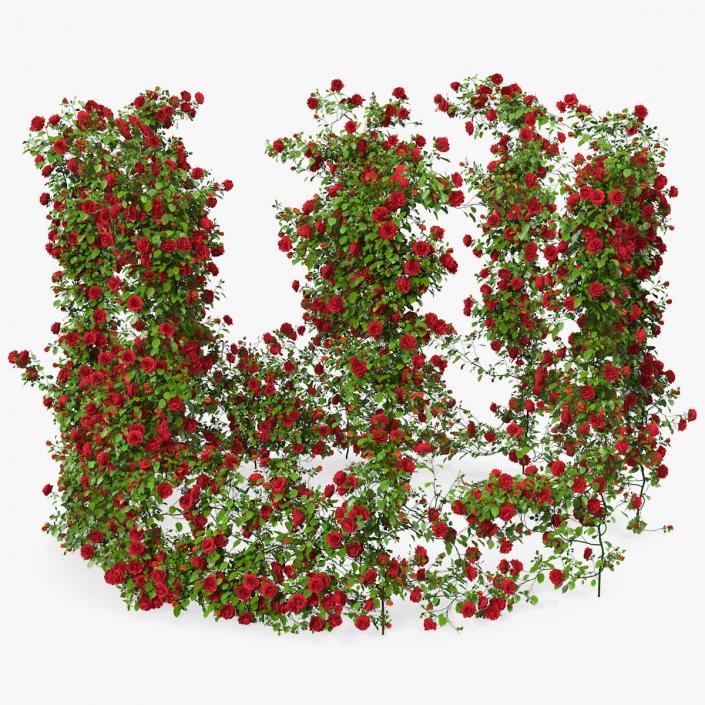 3D Red Rose Bush model