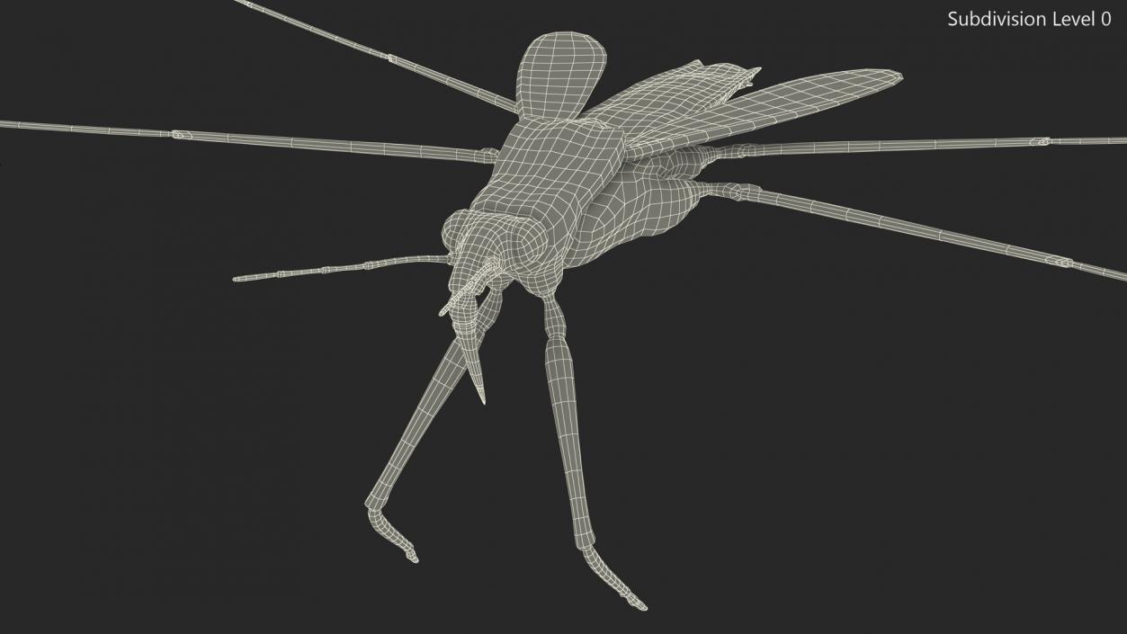 Water Strider Fur 3D