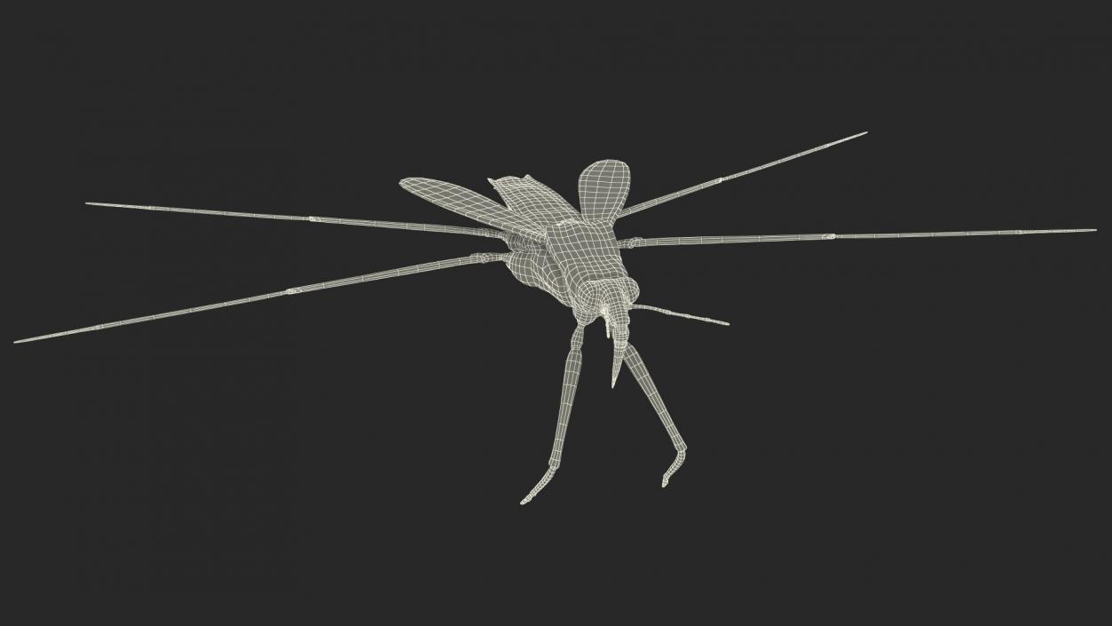 Water Strider Fur 3D