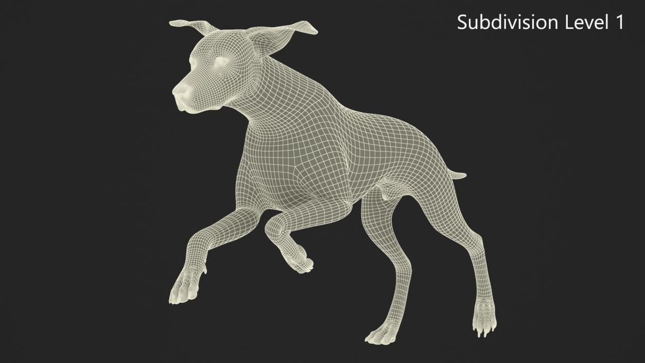 3D model Running Spotted Dalmatian Dog Fur 2