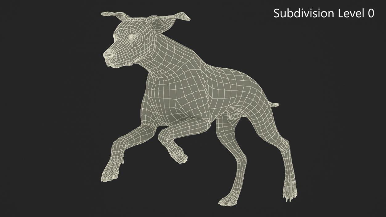 3D model Running Spotted Dalmatian Dog Fur 2