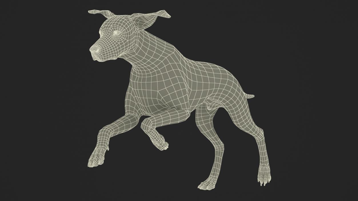 3D model Running Spotted Dalmatian Dog Fur 2