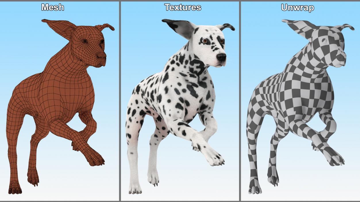 3D model Running Spotted Dalmatian Dog Fur 2