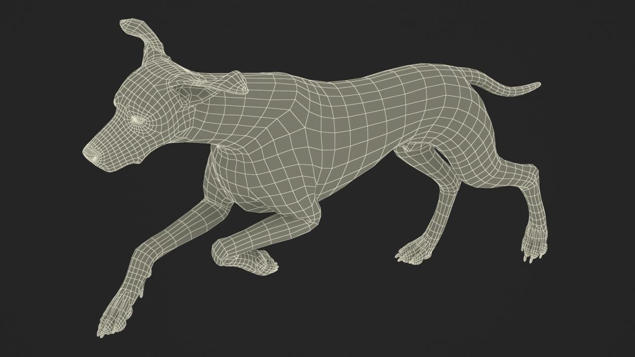 3D model Running Spotted Dalmatian Dog Fur 2