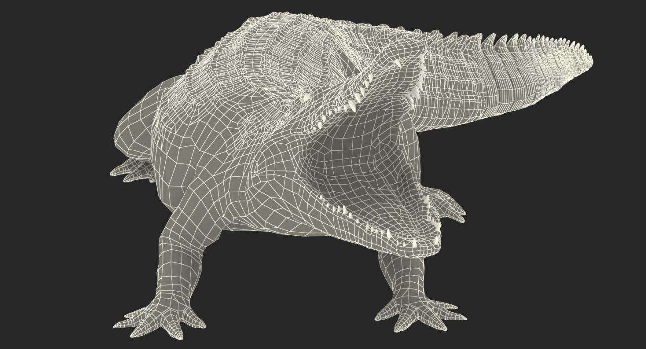 Crocodile Attacks 3D