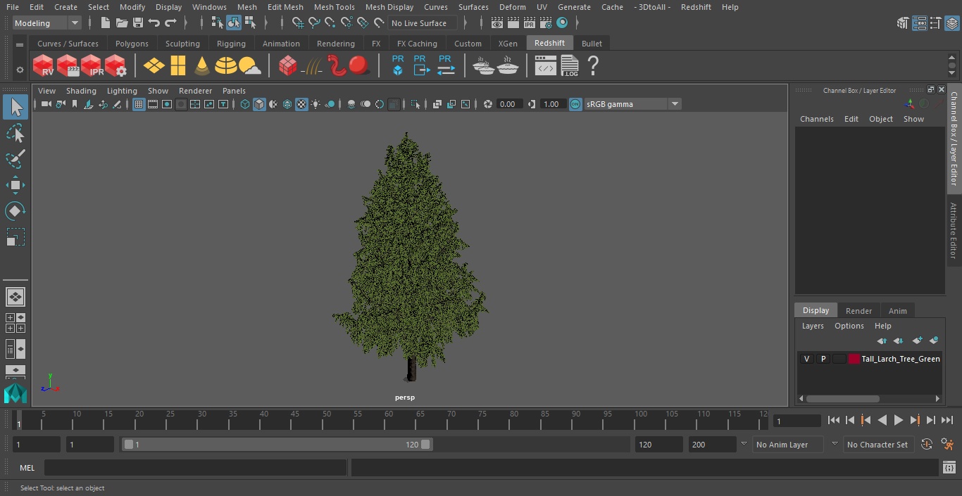 3D Tall Larch Tree Green