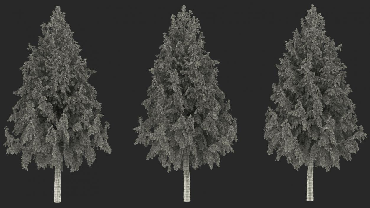 3D Tall Larch Tree Green