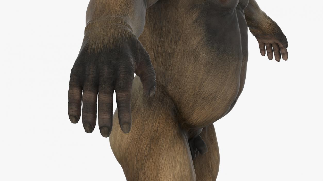 3D model Big Ape Gigantopithecus A-Pose