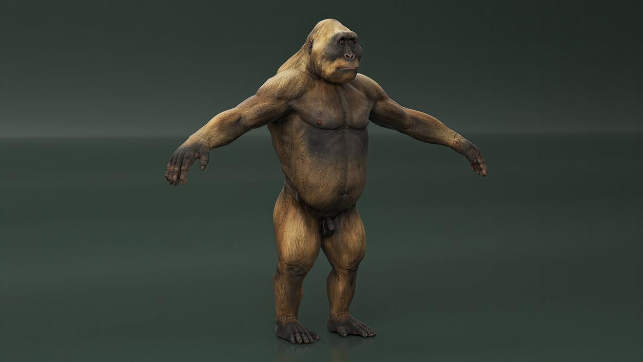 3D model Big Ape Gigantopithecus A-Pose