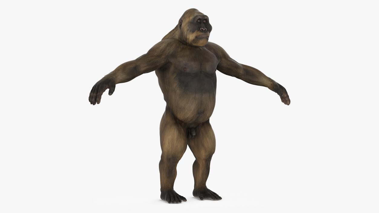 3D model Big Ape Gigantopithecus A-Pose