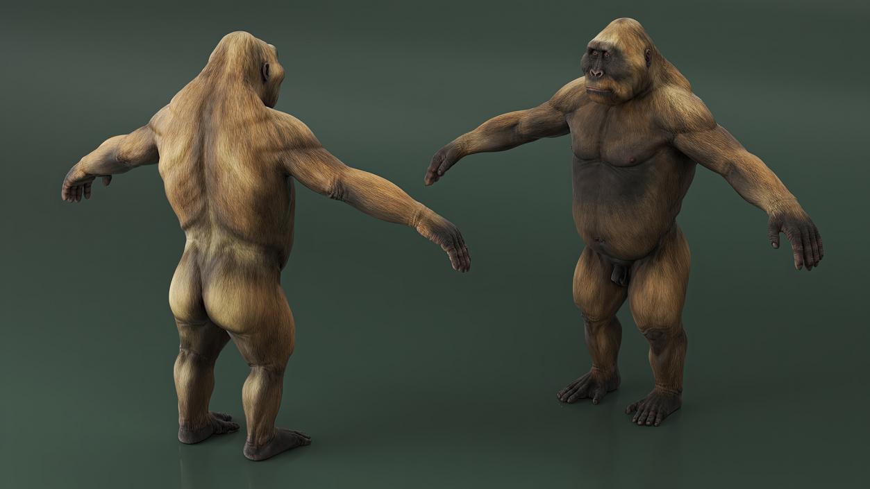 3D model Big Ape Gigantopithecus A-Pose