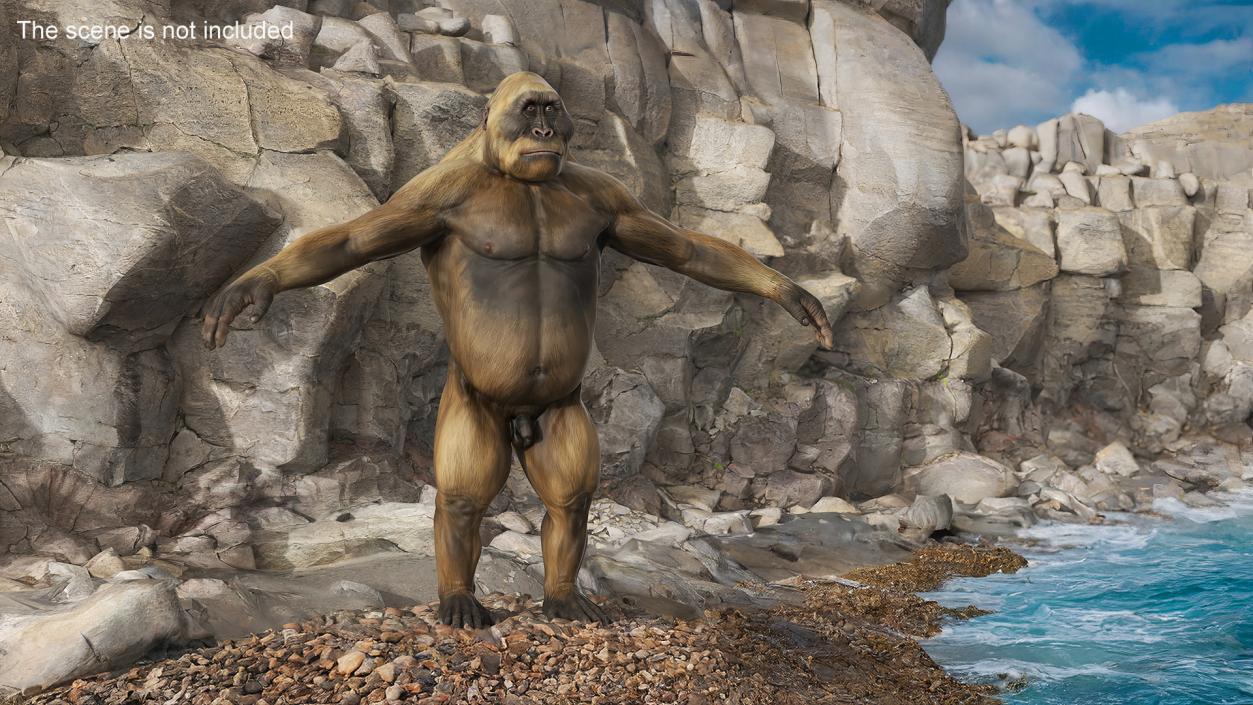 3D model Big Ape Gigantopithecus A-Pose