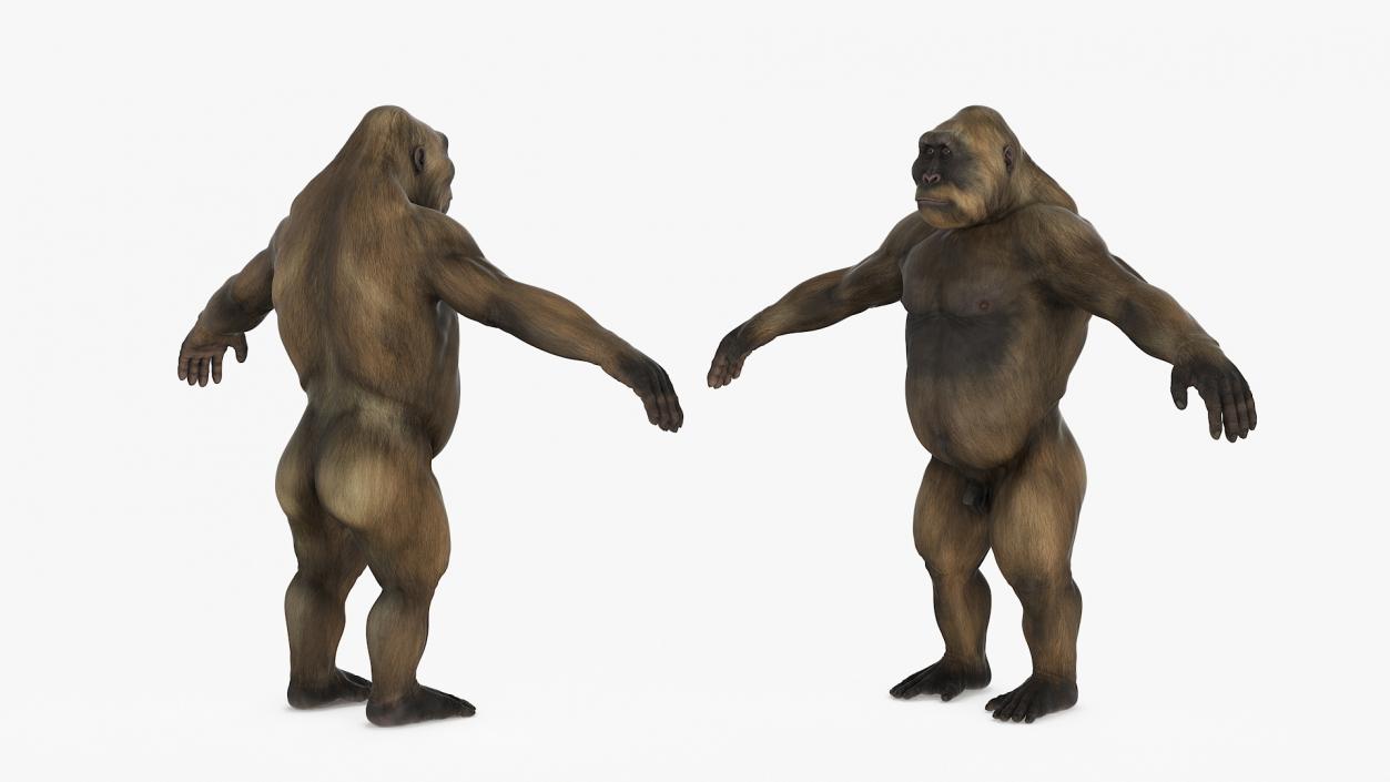 3D model Big Ape Gigantopithecus A-Pose