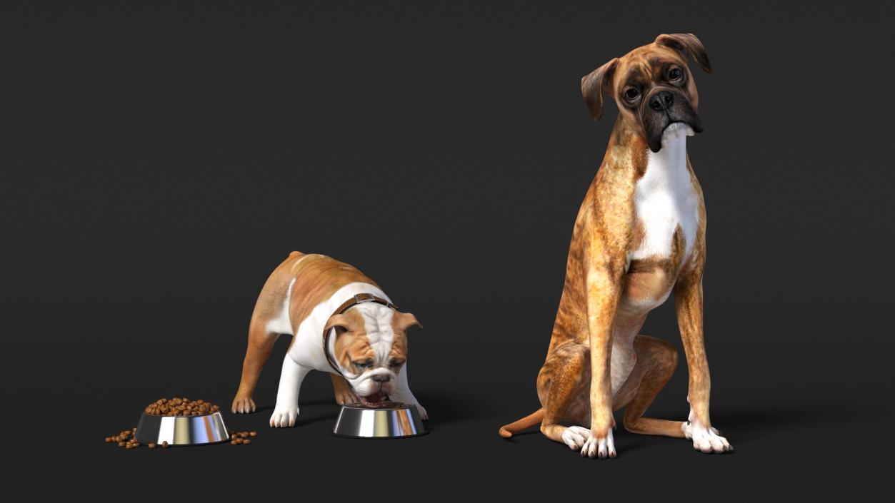 Enclosure with Dogs 3D model