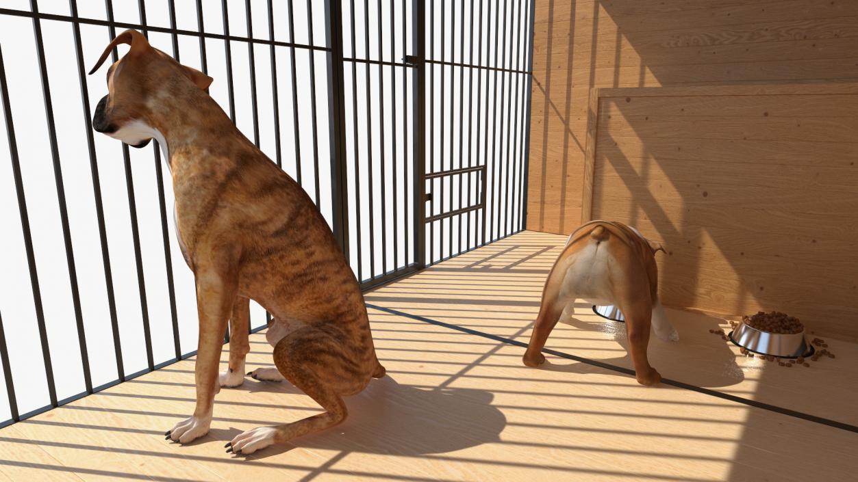 Enclosure with Dogs 3D model