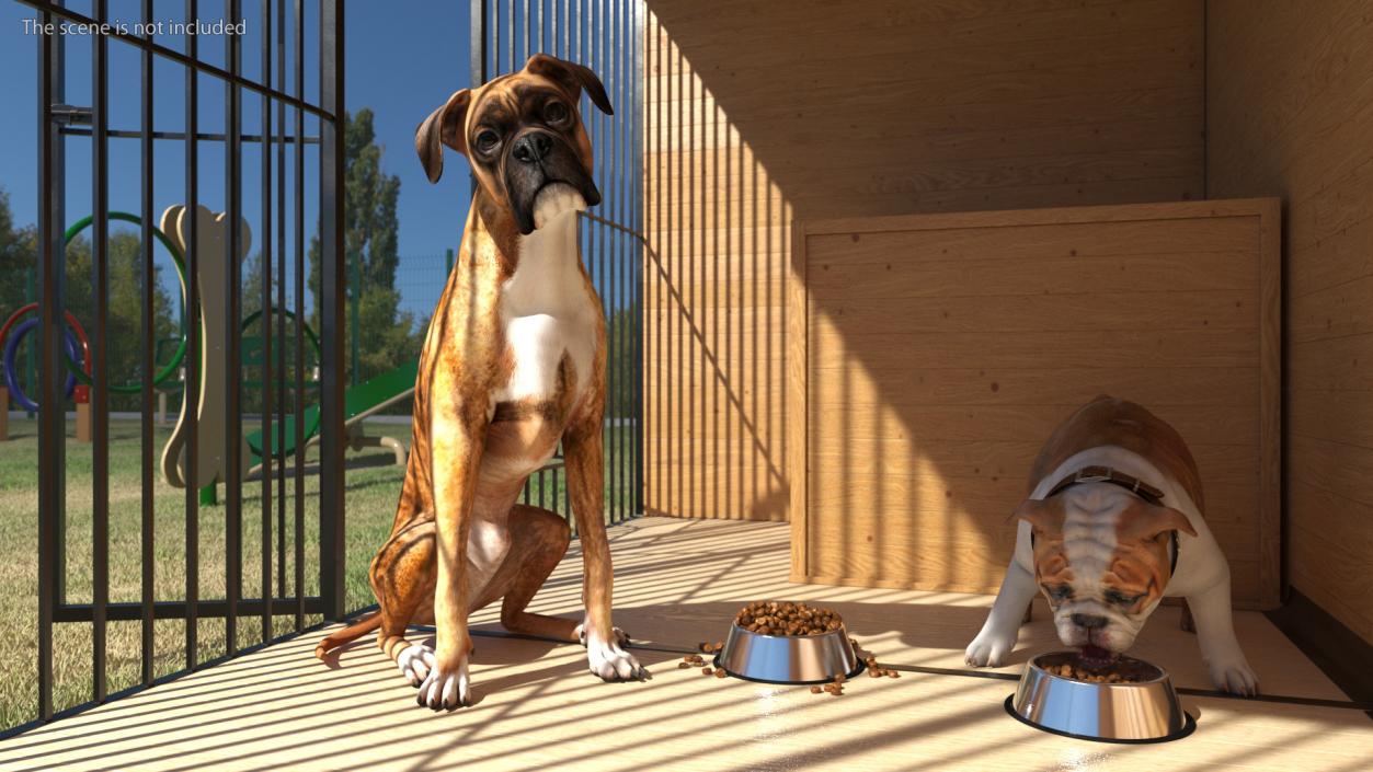 Enclosure with Dogs 3D model