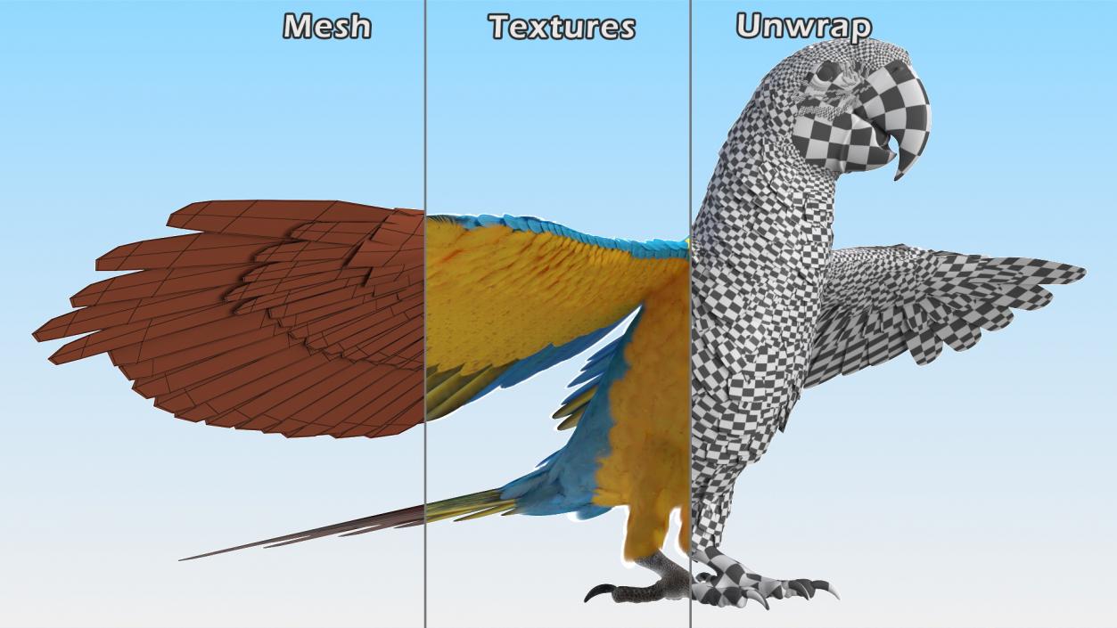 3D Blue and Yellow Macaw Parrot Neutral Pose