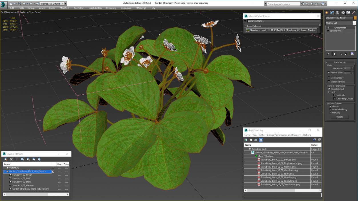 3D Garden Strawberry Plant with Flowers