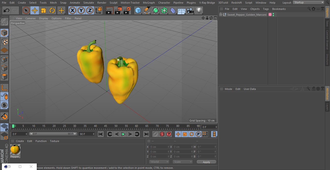 Sweet Pepper Golden Marconi 3D