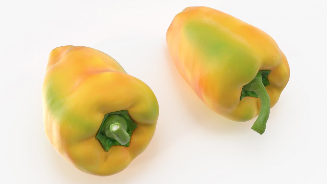 Sweet Pepper Golden Marconi 3D