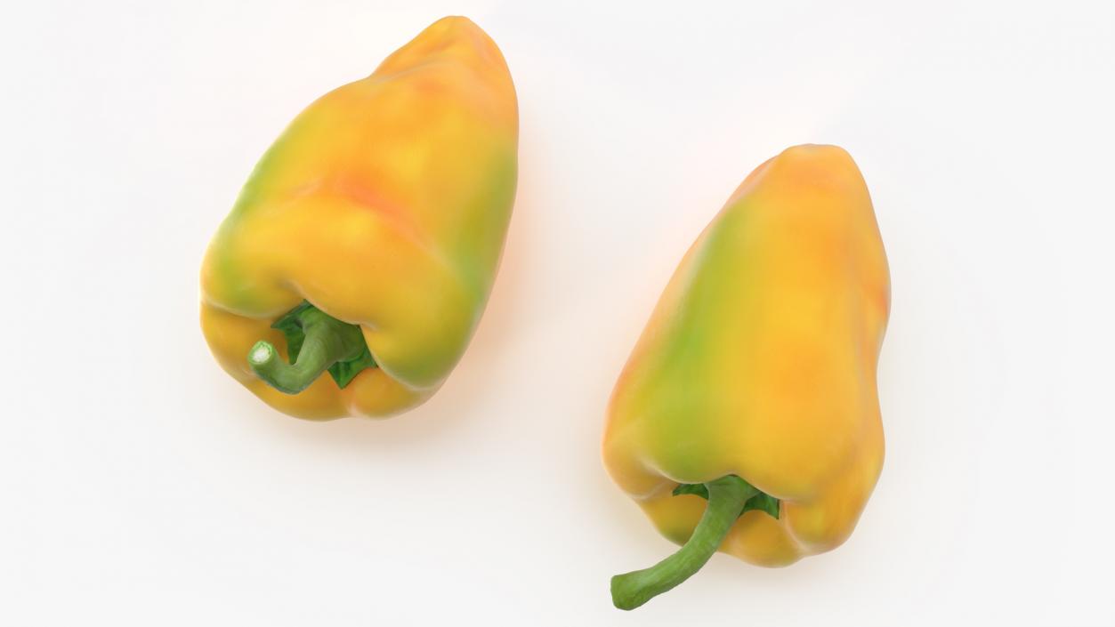 Sweet Pepper Golden Marconi 3D