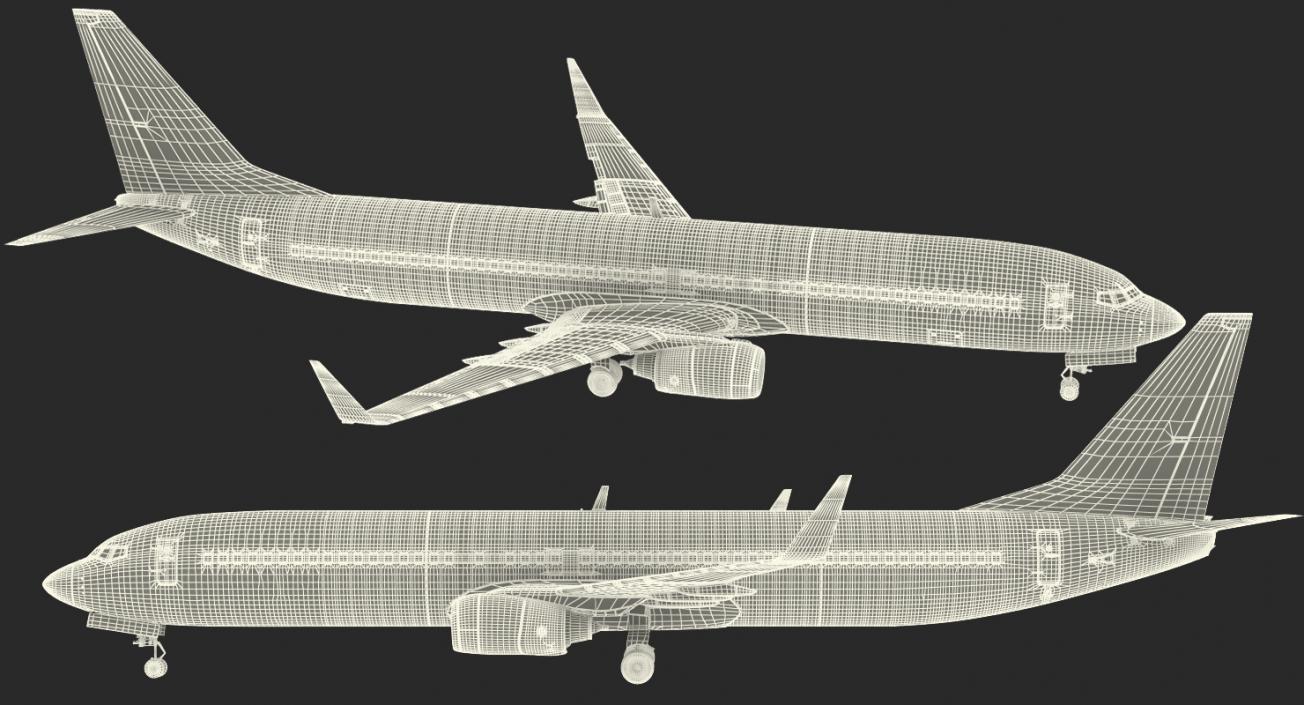 Boeing 737-900 United Airlines Rigged 3D