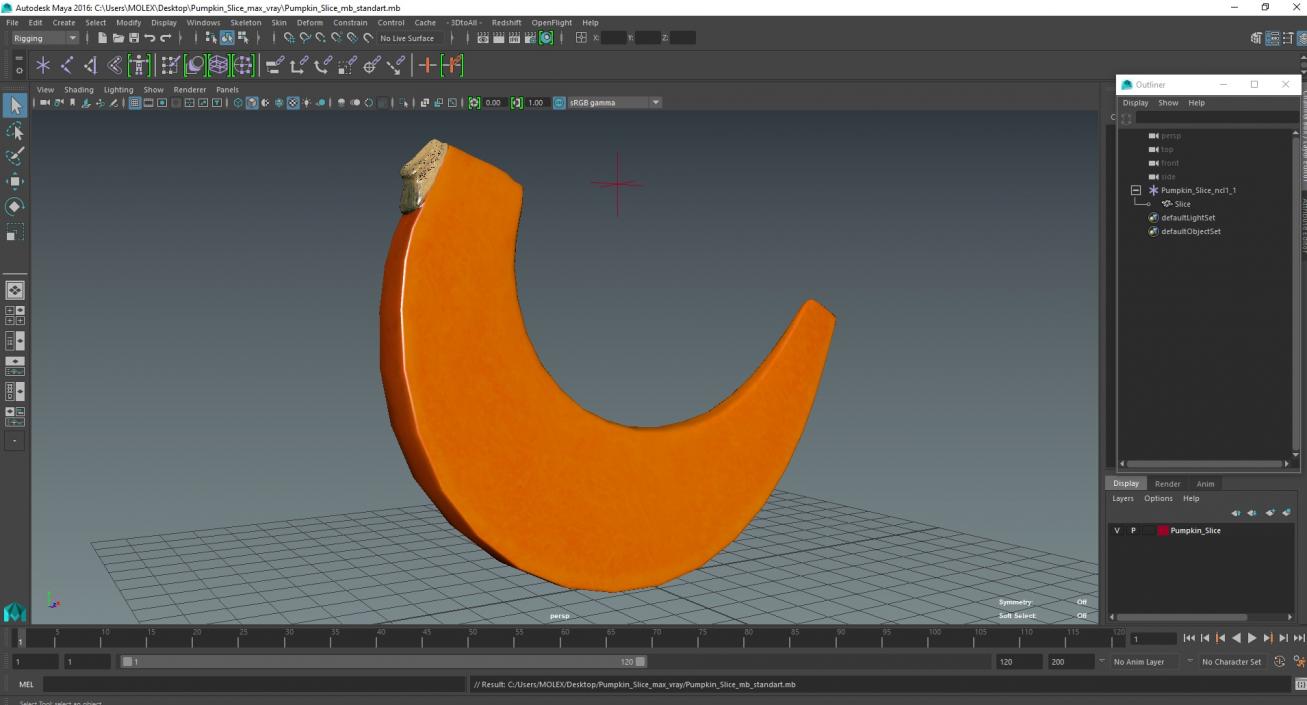 3D Pumpkin Slice model