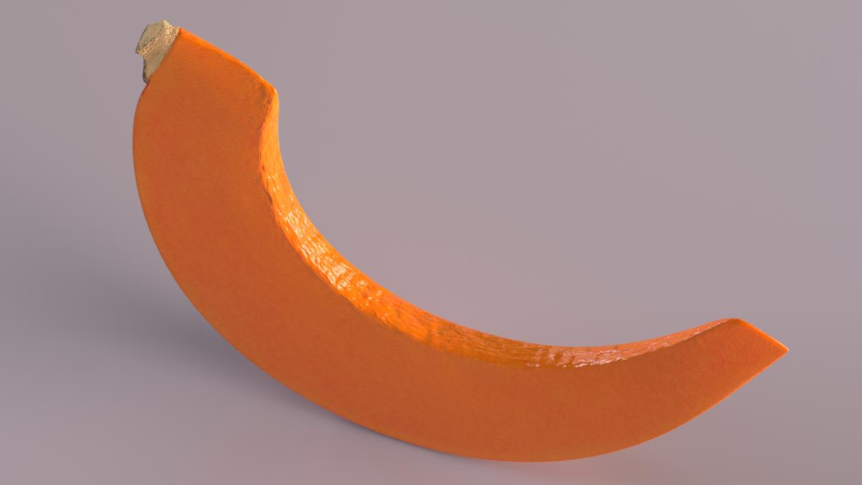 3D Pumpkin Slice model