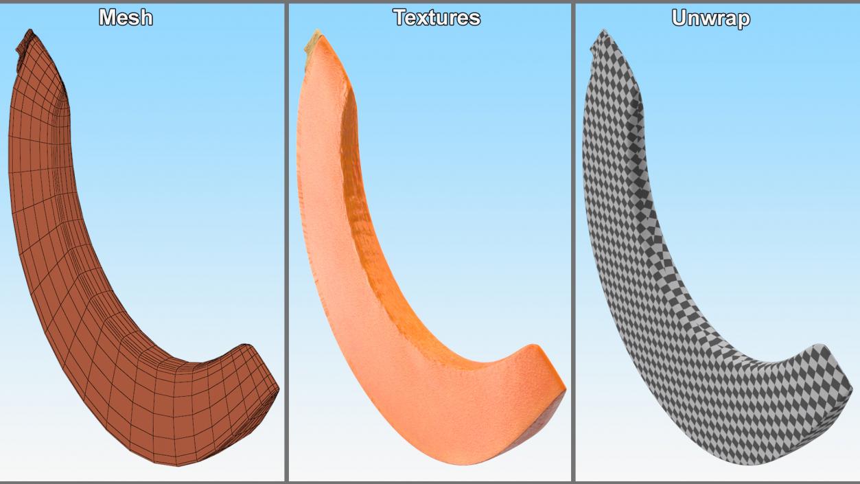 3D Pumpkin Slice model