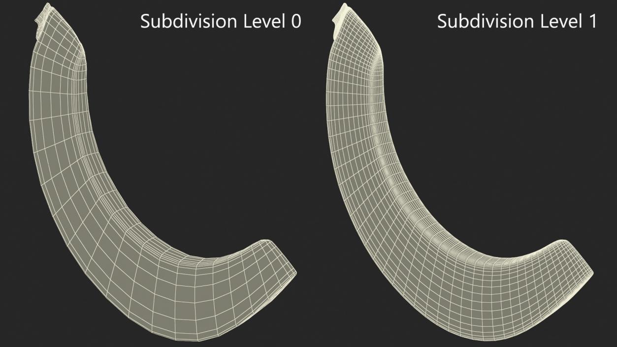 3D Pumpkin Slice model