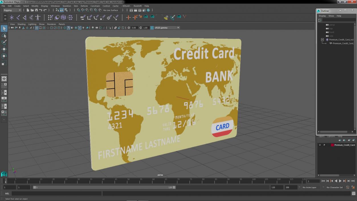 Premium Credit Card 3D model