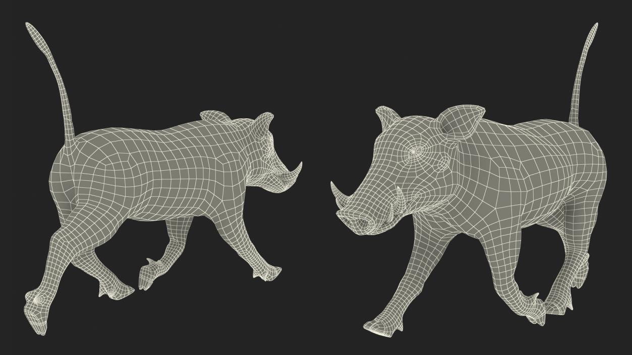 3D African Boar Walking Pose Fur 2